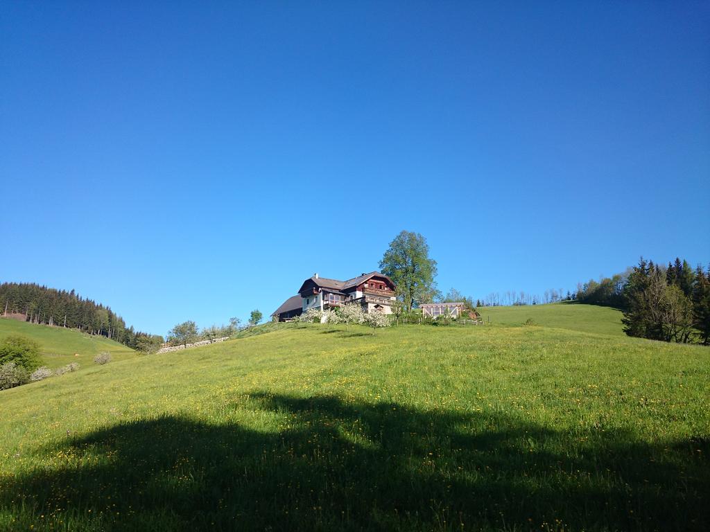 Вилла Bio-Bauernhof Kurzeck Гестлинг-на-Ибсе Экстерьер фото